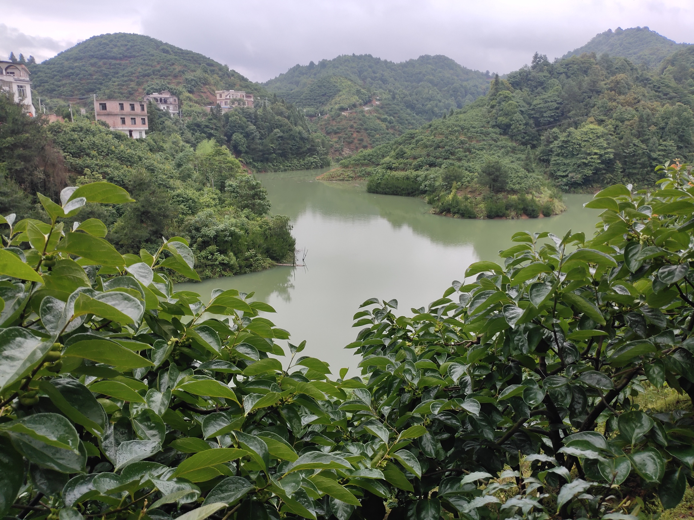 连续降雨，兰洞水库水位升至高位571 / 作者:瑤人老李 / 帖子ID:296278