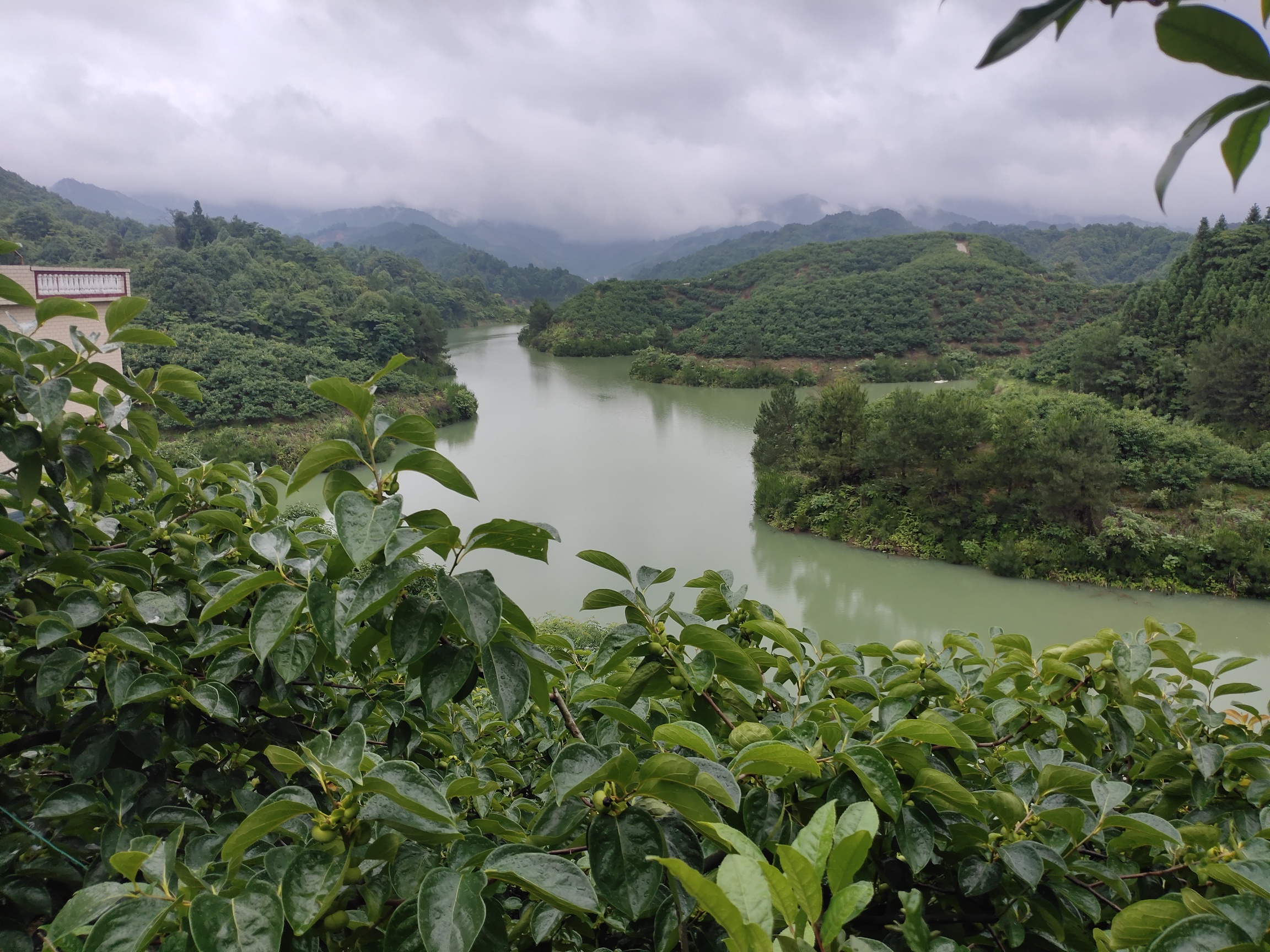 连续降雨，兰洞水库水位升至高位546 / 作者:瑤人老李 / 帖子ID:296278