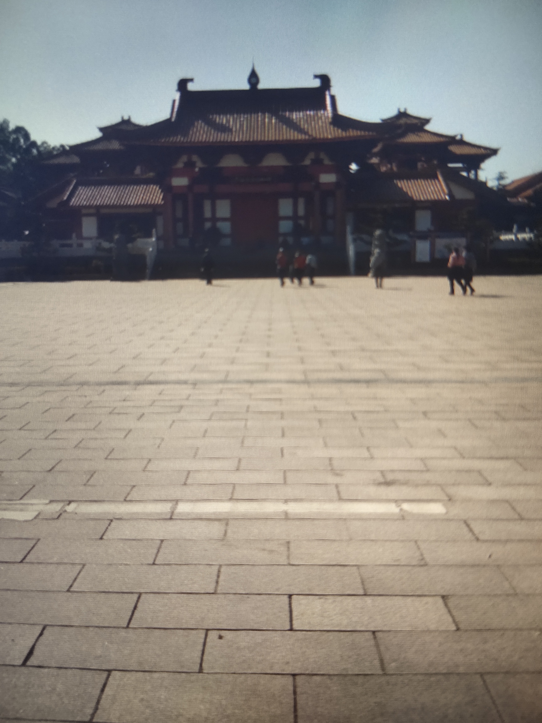 匆游恭城瑶族博物馆192 / 作者:瑤人老李 / 帖子ID:296560