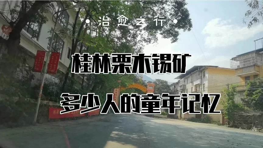 沁园春／栗木210 / 作者:快速治疗骨质增 / 帖子ID:299103