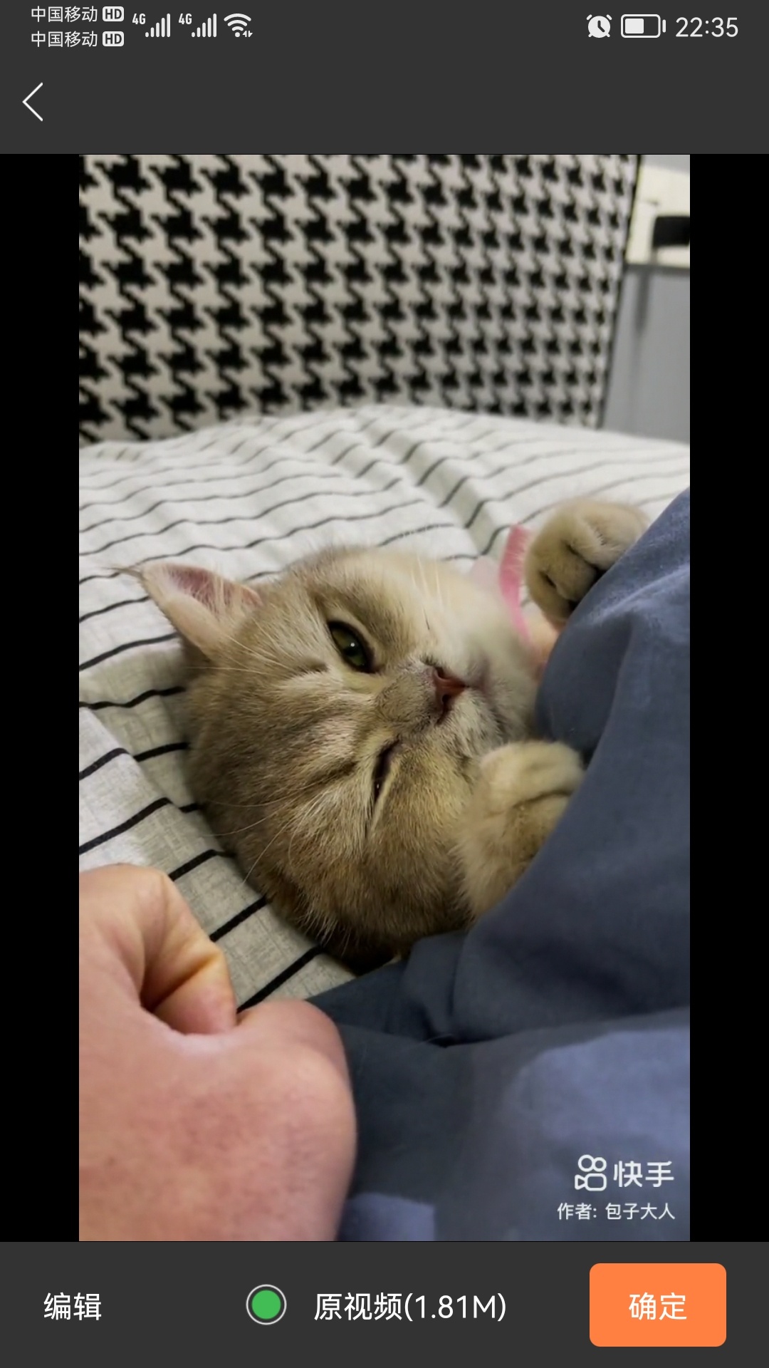 告告！晚安595 / 作者:猛龙 / 帖子ID:302094