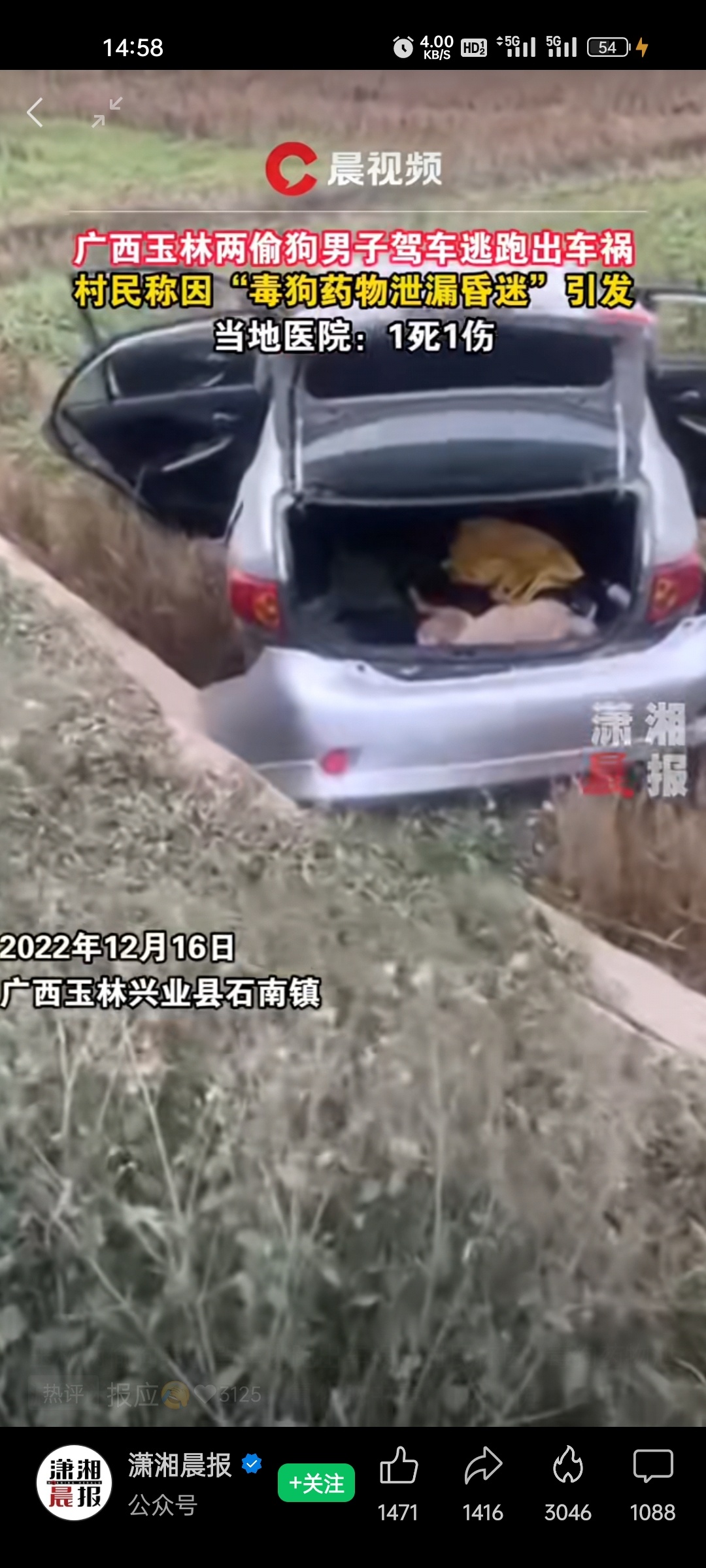 偷狗的把自己毒死70 / 作者:君无悠 / 帖子ID:302518