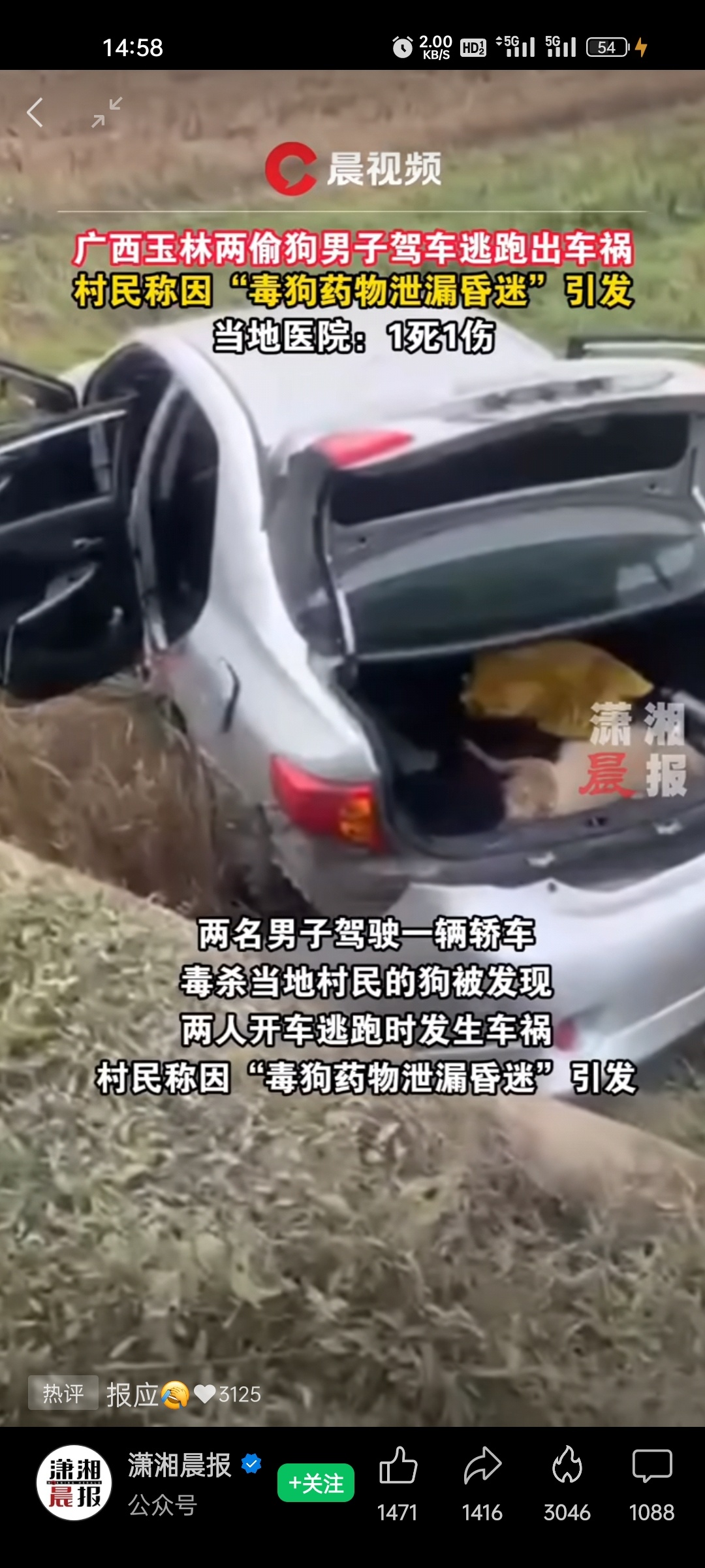 偷狗的把自己毒死618 / 作者:君无悠 / 帖子ID:302518