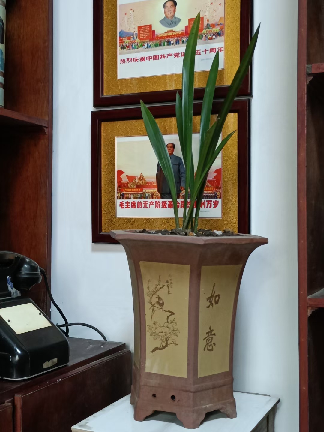忽然的爱好231 / 作者:风凌天下 / 帖子ID:302551