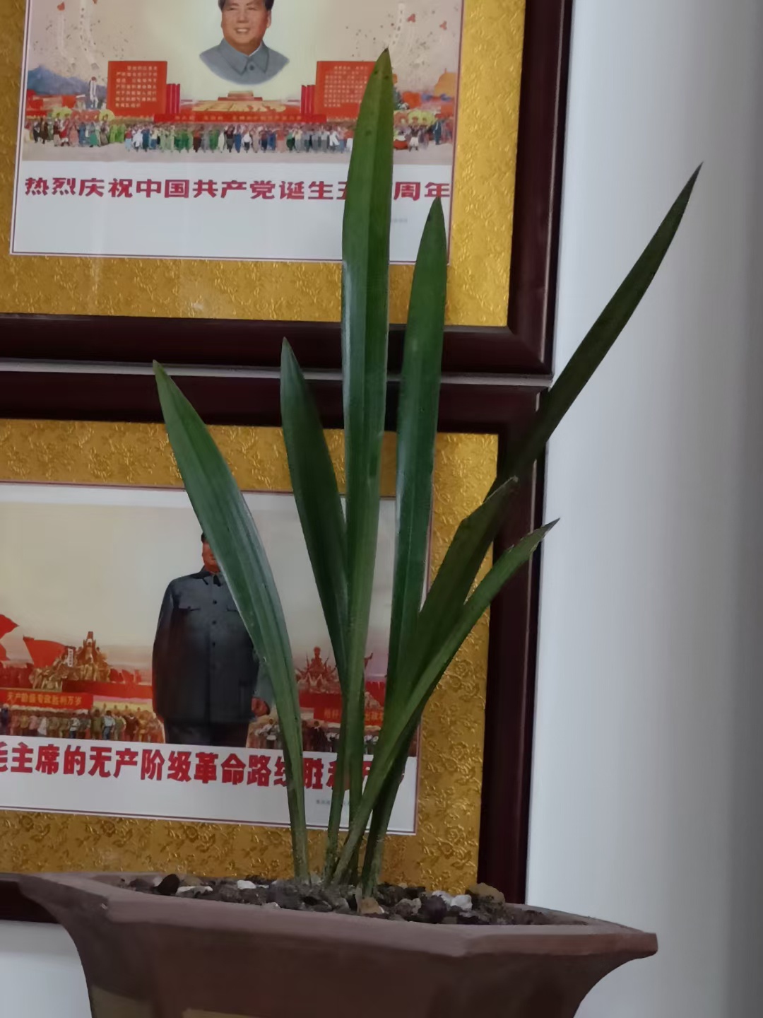 忽然的爱好961 / 作者:风凌天下 / 帖子ID:302551