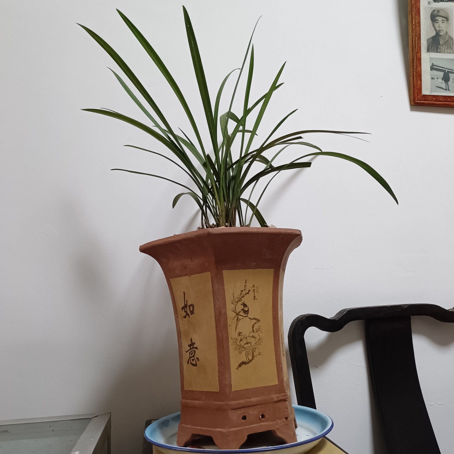 忽然的爱好923 / 作者:风凌天下 / 帖子ID:302551