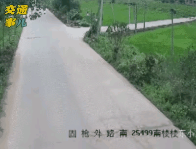 一个个动图警示，骑摩托车别开飞机86 / 作者:猛龙 / 帖子ID:303130