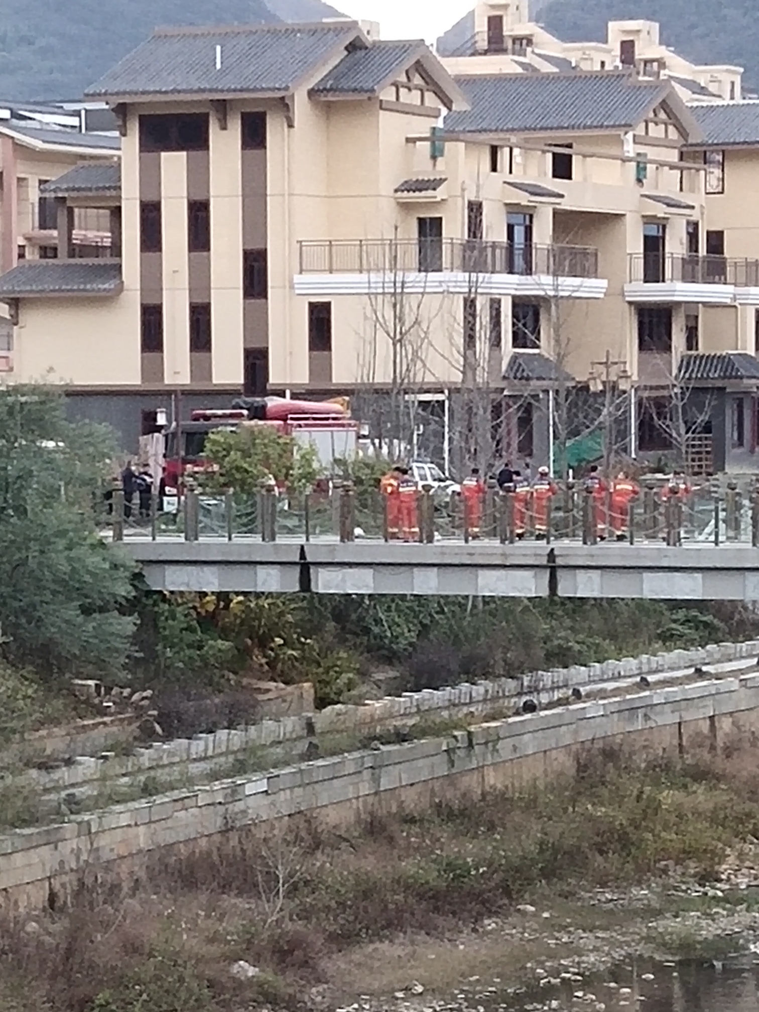 什么情况178 / 作者:啊兜兜 / 帖子ID:303311