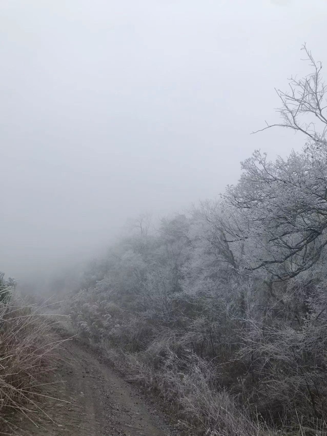 燕子山雪景307 / 作者:幂倾城淮 / 帖子ID:303360