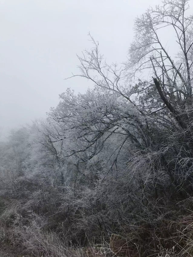 燕子山雪景846 / 作者:幂倾城淮 / 帖子ID:303360