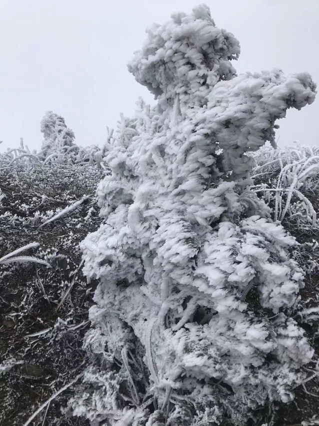 燕子山雪景968 / 作者:幂倾城淮 / 帖子ID:303360