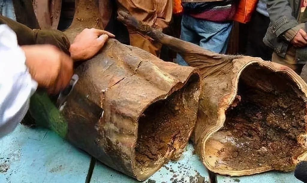 让你们见识见识四川阿坝州五十年的老腊肉278 / 作者:猛龙 / 帖子ID:303488