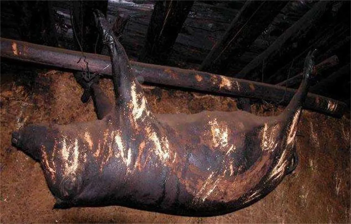 让你们见识见识四川阿坝州五十年的老腊肉448 / 作者:猛龙 / 帖子ID:303488