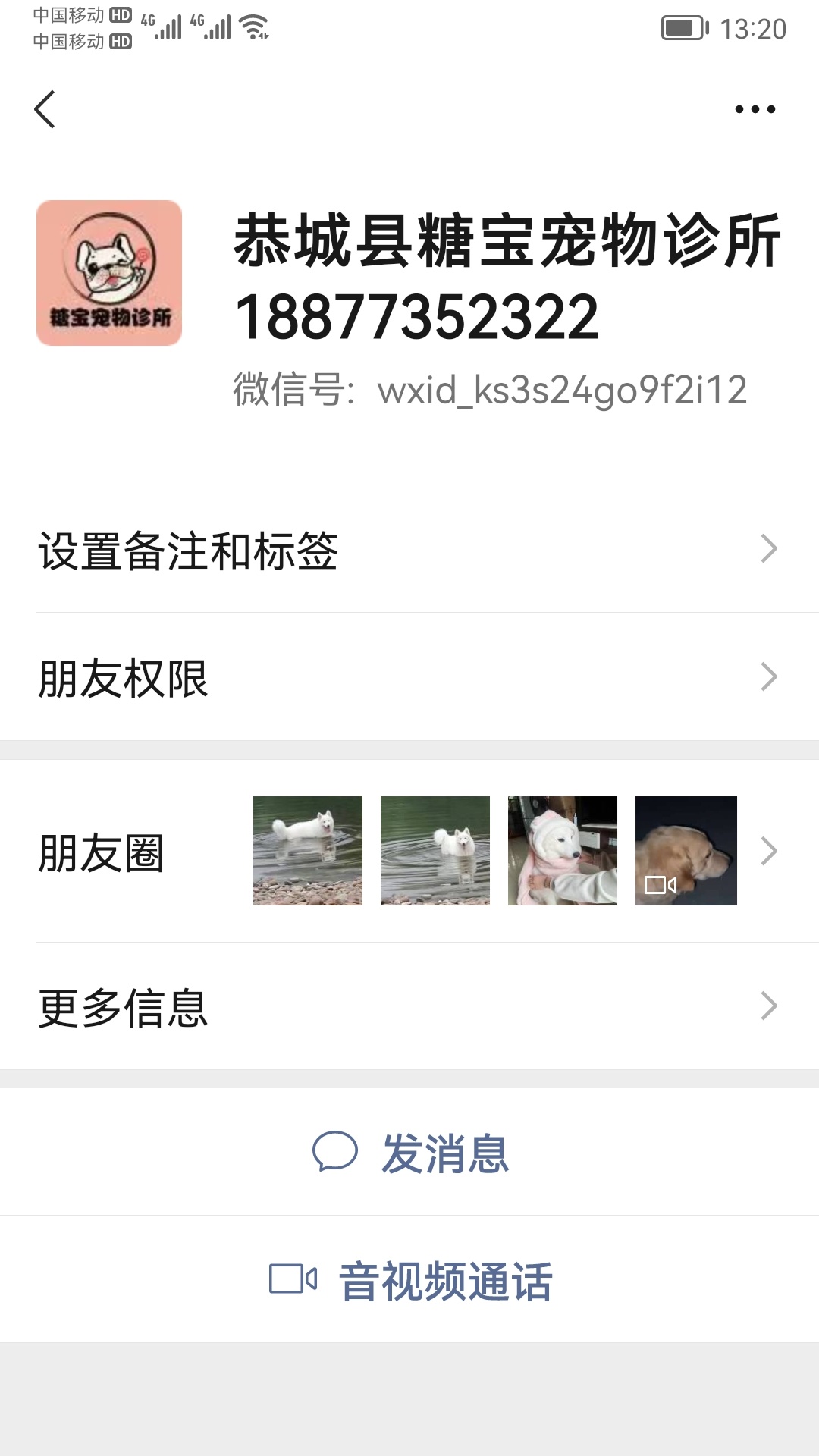 狗狗受伤，求助！415 / 作者:猛龙 / 帖子ID:303597