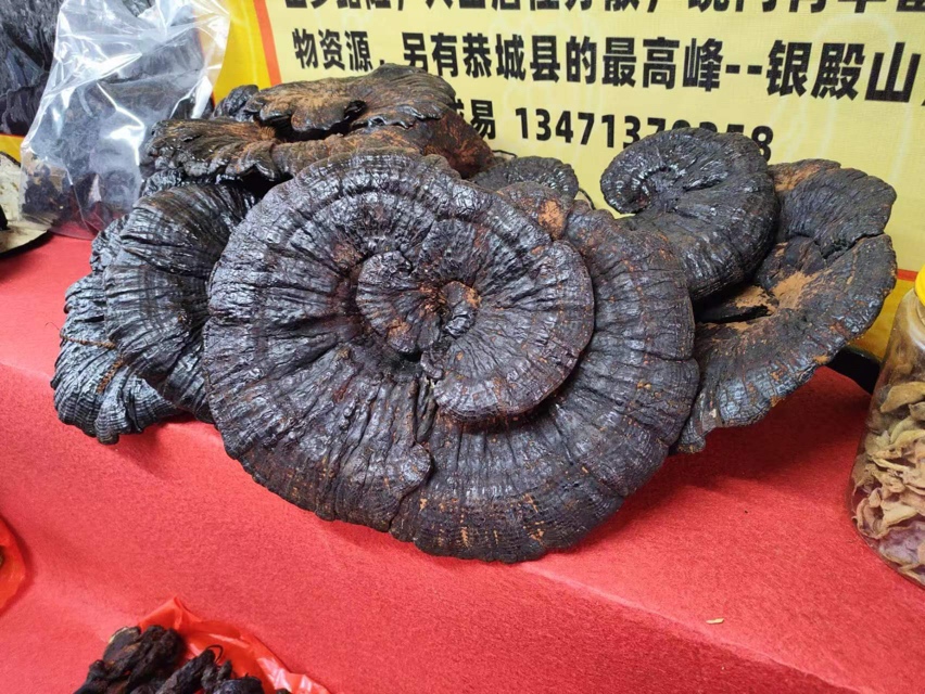 三江美食节有在现场的吗？842 / 作者:hoei / 帖子ID:303924