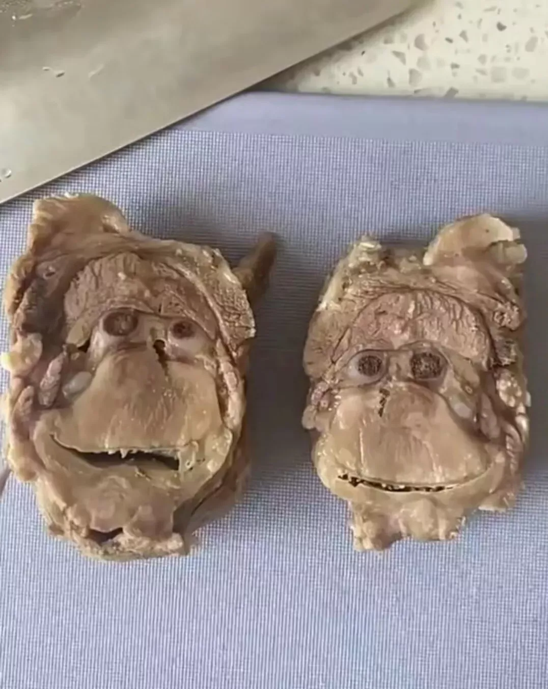 这个砍成两块的骨头有点像人脸878 / 作者:猛龙 / 帖子ID:304207