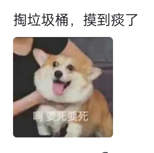 有谁昨天在垃圾桶寻到宝物了么198 / 作者:醉于山水 / 帖子ID:304273