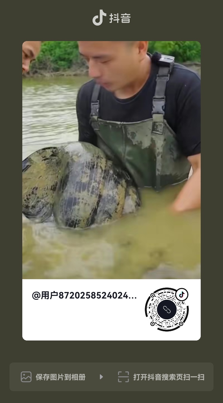 让你们见识见识超级大的田螺和险壳864 / 作者:猛龙 / 帖子ID:304577