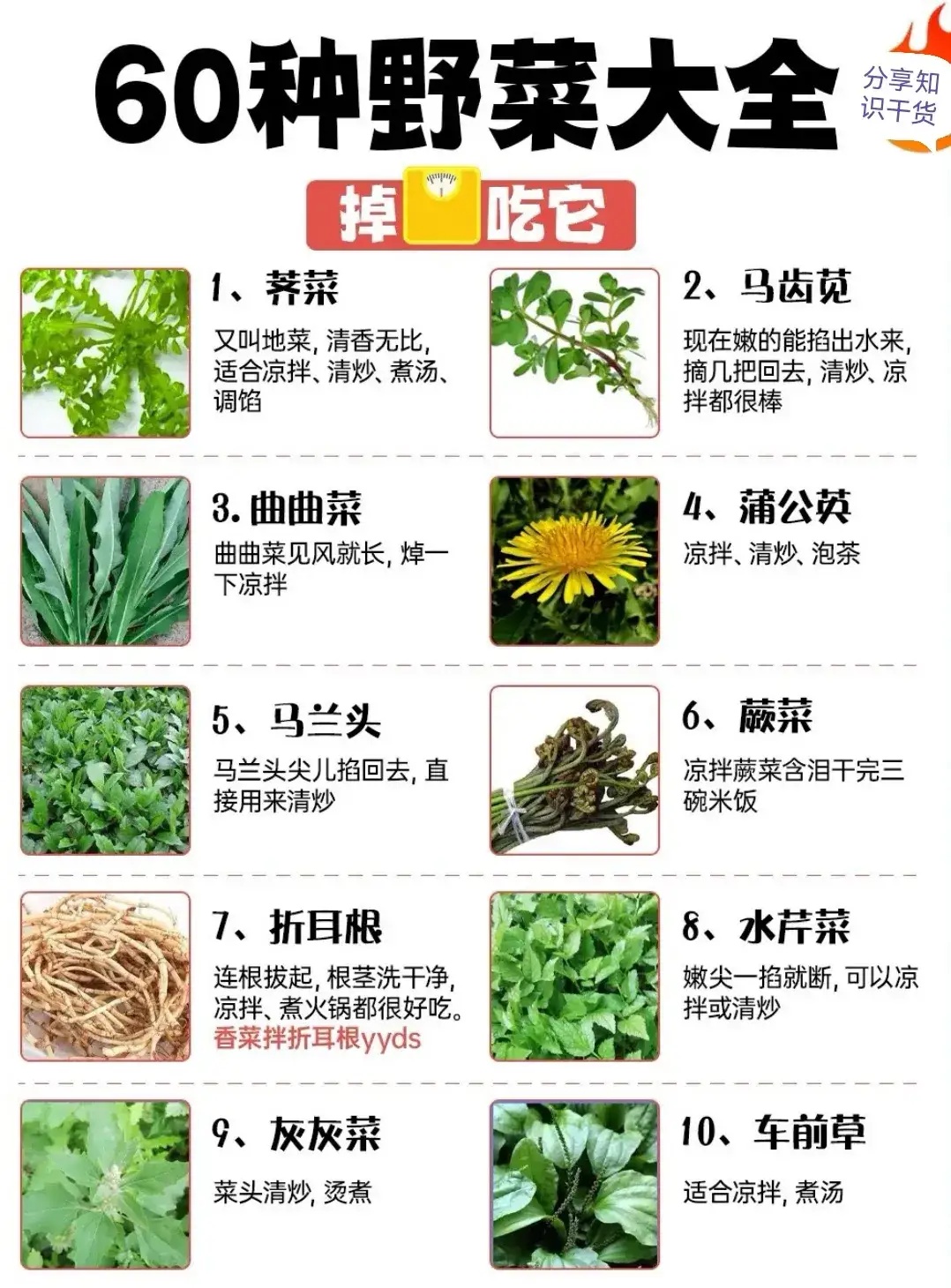 ——60种野菜大全197 / 作者:力行者 / 帖子ID:304720