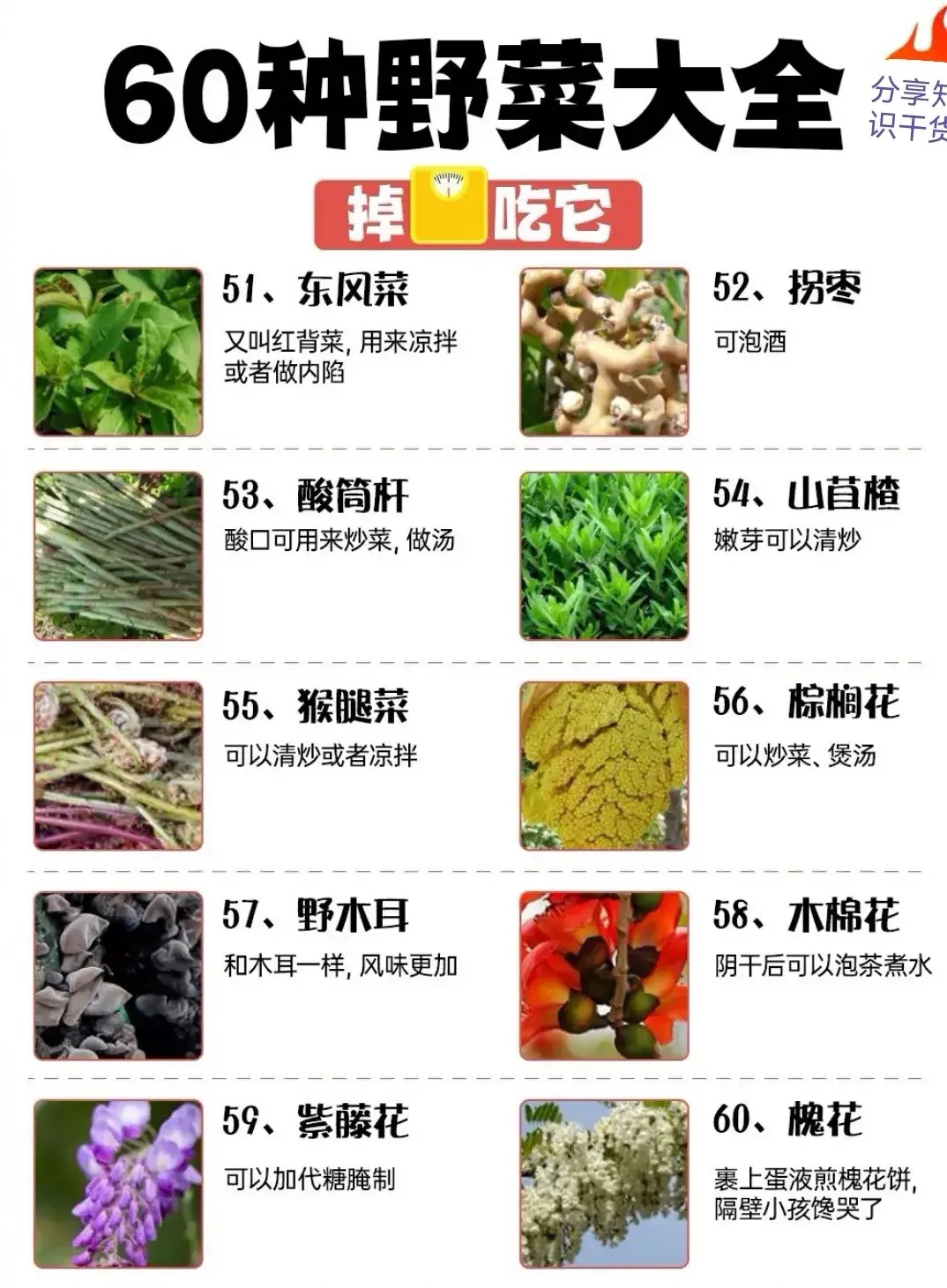 ——60种野菜大全318 / 作者:力行者 / 帖子ID:304720