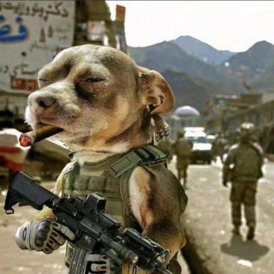 告告！晚安77 / 作者:猛龙 / 帖子ID:304800