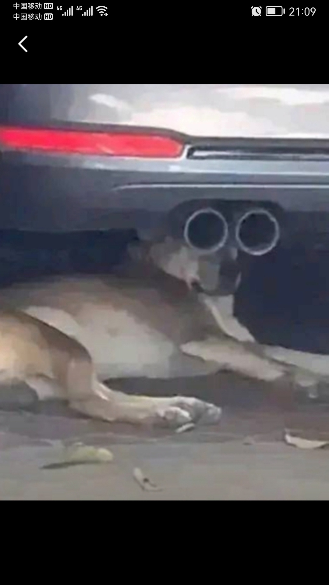 告告！晚安416 / 作者:猛龙 / 帖子ID:304800