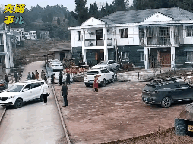 为什么这些人都喜欢背对着来车呢？是不是以为人家都不敢压它？726 / 作者:猛龙 / 帖子ID:304984