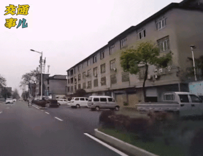 为什么这些人都喜欢背对着来车呢？是不是以为人家都不敢压它？700 / 作者:猛龙 / 帖子ID:304984