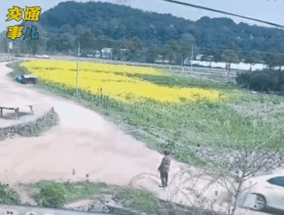 为什么这些人都喜欢背对着来车呢？是不是以为人家都不敢压它？540 / 作者:猛龙 / 帖子ID:304984