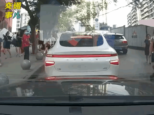 为什么这些人都喜欢背对着来车呢？是不是以为人家都不敢压它？248 / 作者:猛龙 / 帖子ID:304984