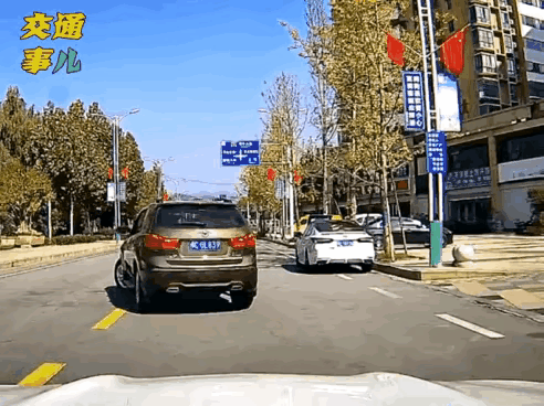 为什么这些人都喜欢背对着来车呢？是不是以为人家都不敢压它？26 / 作者:猛龙 / 帖子ID:304984