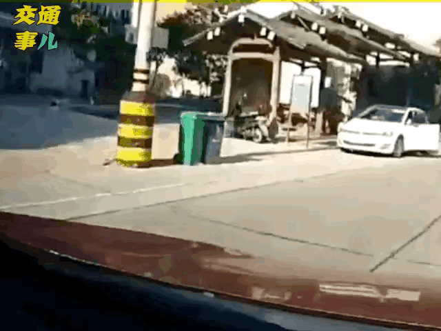 为什么这些人都喜欢背对着来车呢？是不是以为人家都不敢压它？479 / 作者:猛龙 / 帖子ID:304984