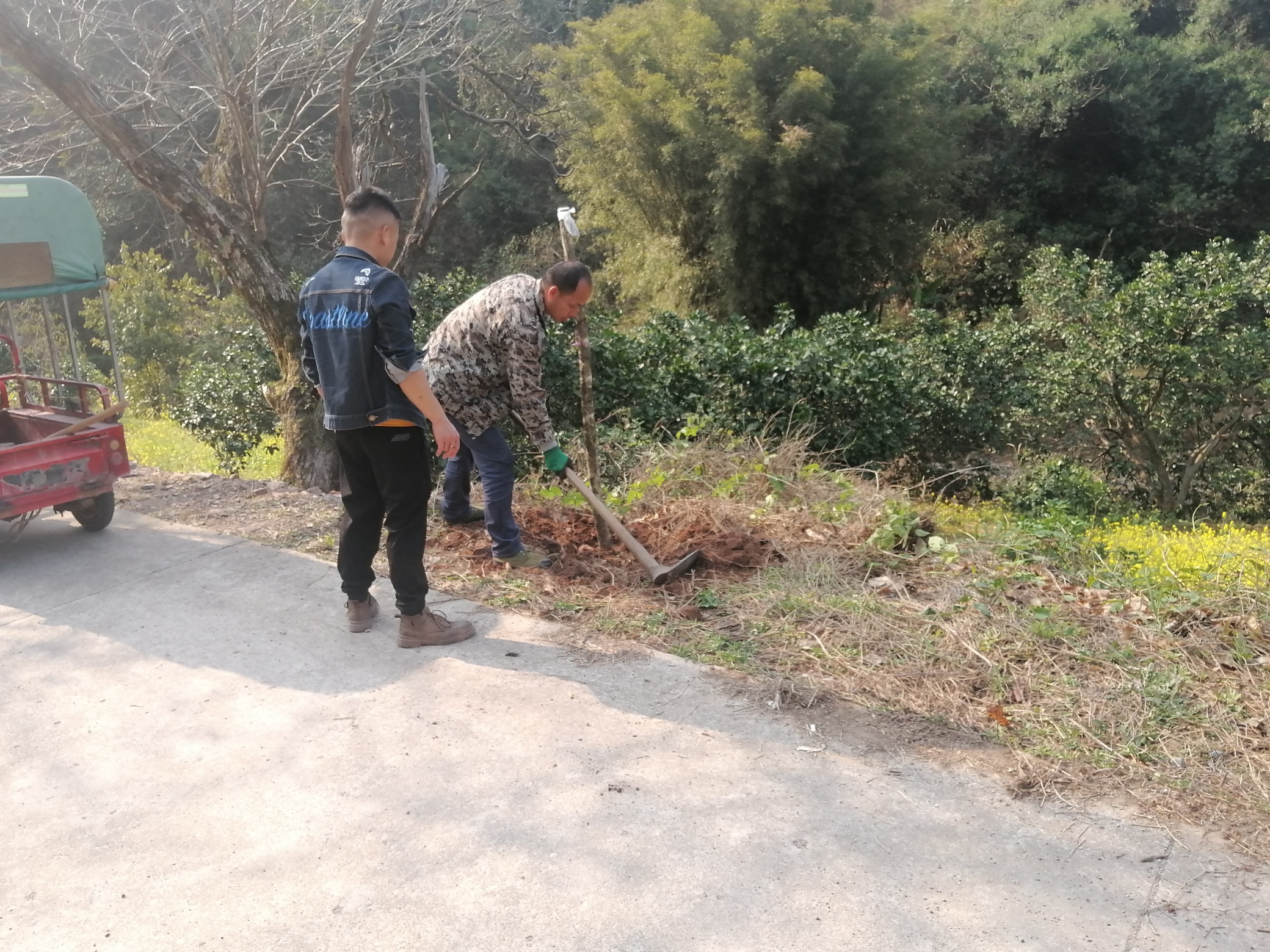 “植树节”前夕恭城马林源林场全体员工积极参加义务植树造林活动817 / 作者:人微言轻 / 帖子ID:304955