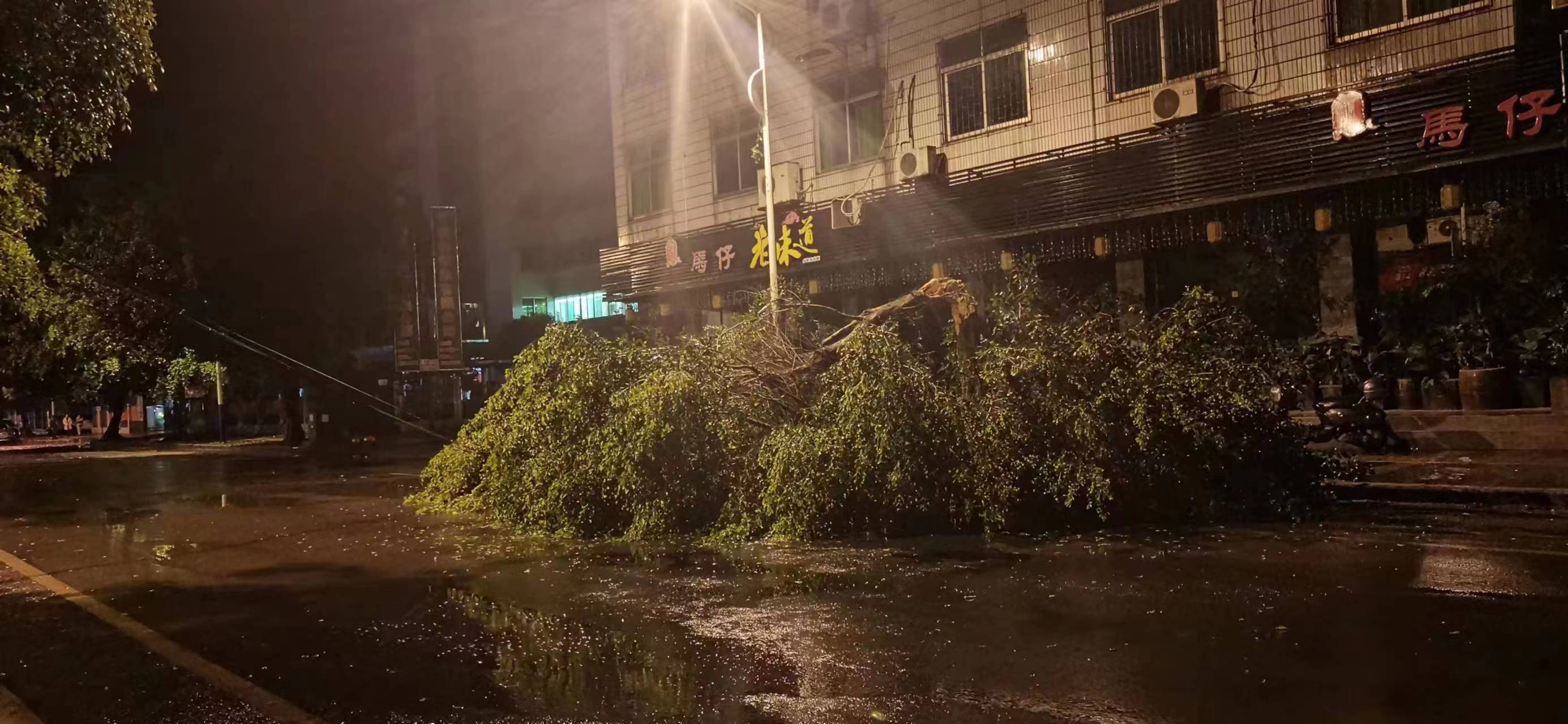 刚才突然暴风骤雨，马仔酒楼门口的树都被吹断了598 / 作者:李志敏 / 帖子ID:305373