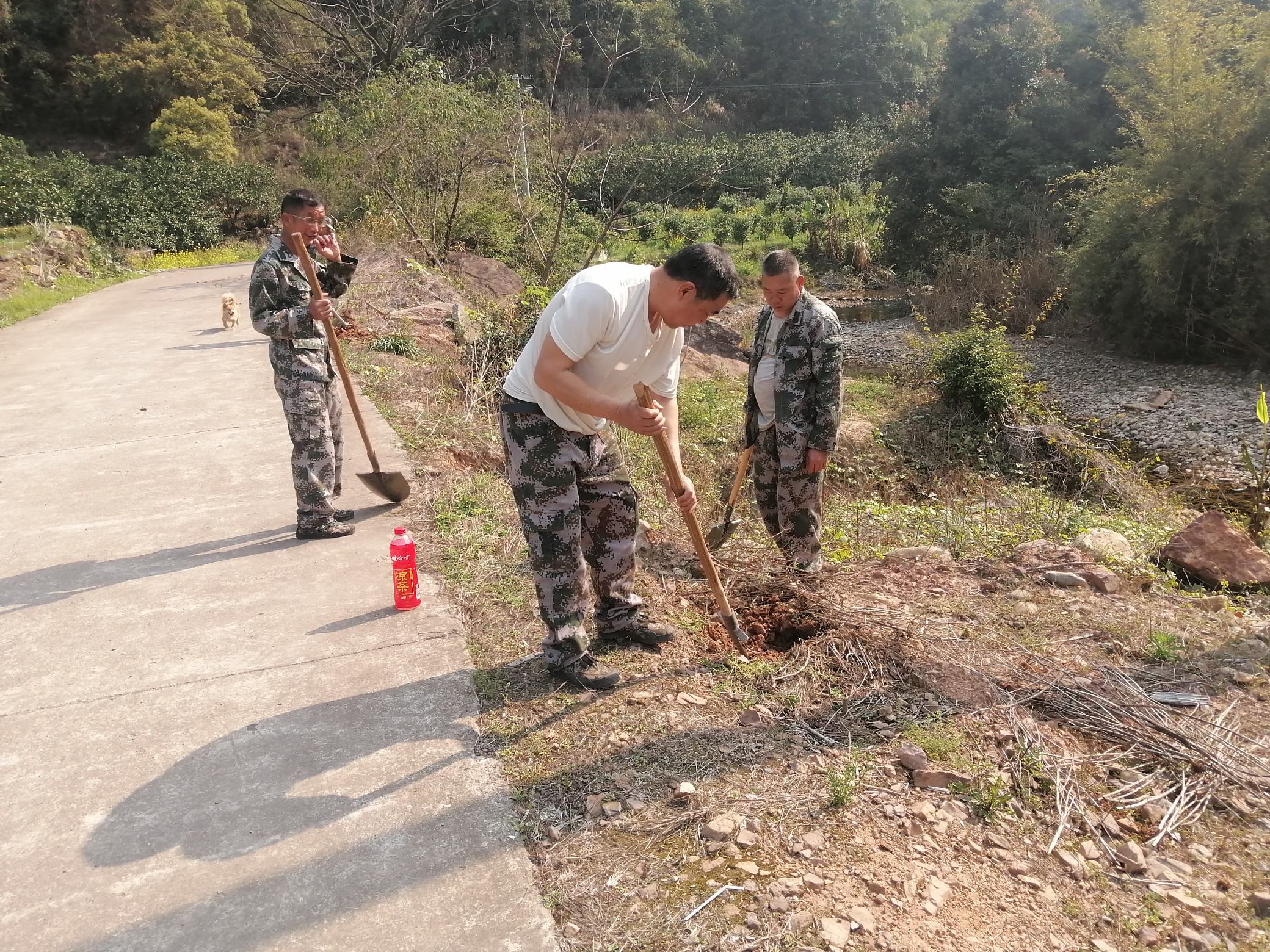 “植树节”前夕恭城马林源林场全体员工积极参加义务植树造林活动583 / 作者:人微言轻 / 帖子ID:304955