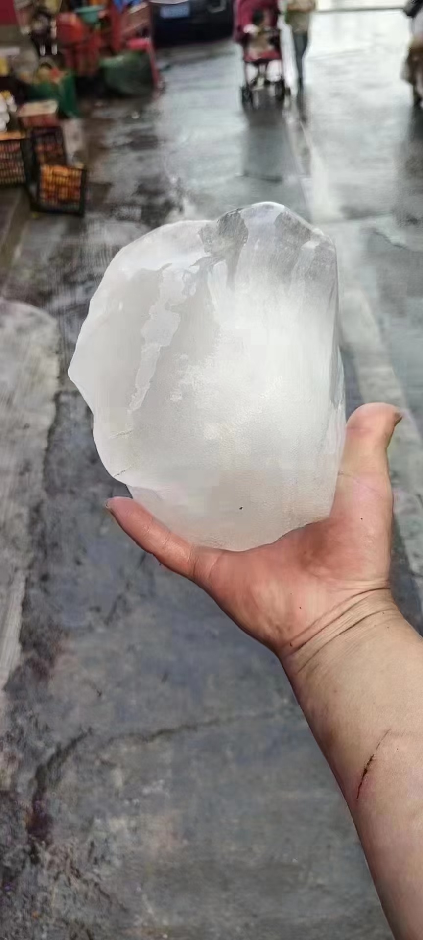 这是哪里下冰雹，好吓人523 / 作者:猛龙 / 帖子ID:305390