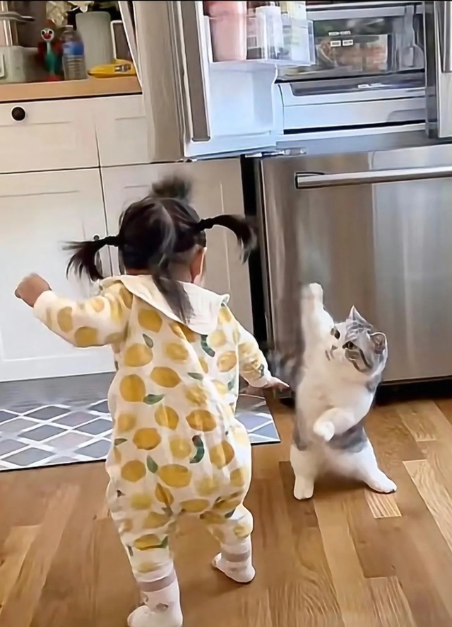 这两个打架你帮谁？350 / 作者:猛龙 / 帖子ID:306254