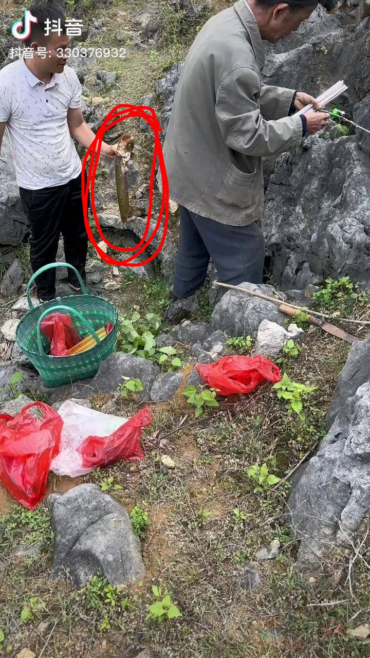 山顶上有鱼钓你们信不？66 / 作者:猛龙 / 帖子ID:306390