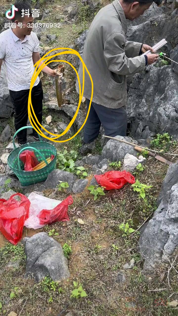 山顶上有鱼钓你们信不？561 / 作者:猛龙 / 帖子ID:306390