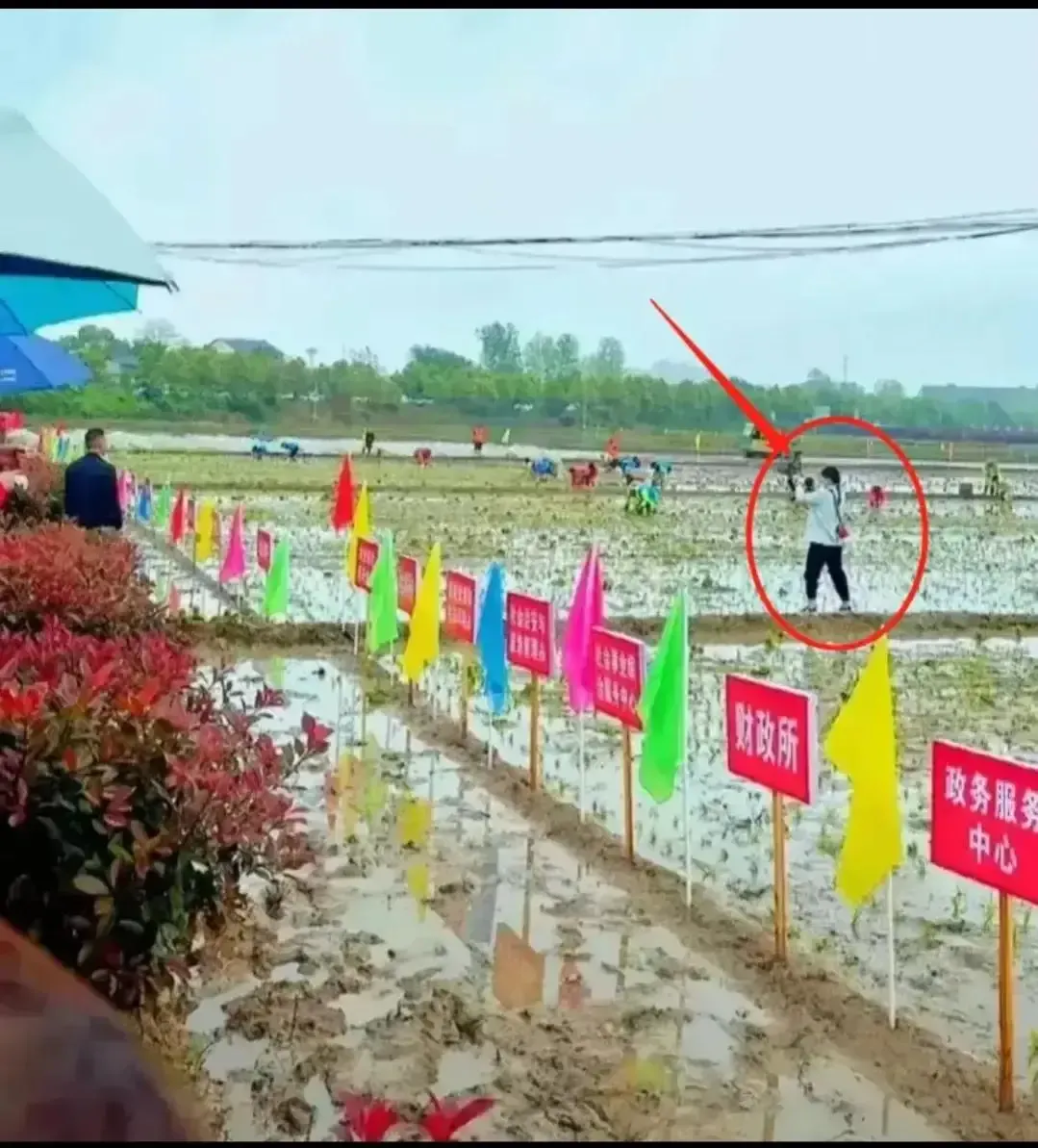 一个人三天没插到两张吃饭桌子宽208 / 作者:猛龙 / 帖子ID:306465