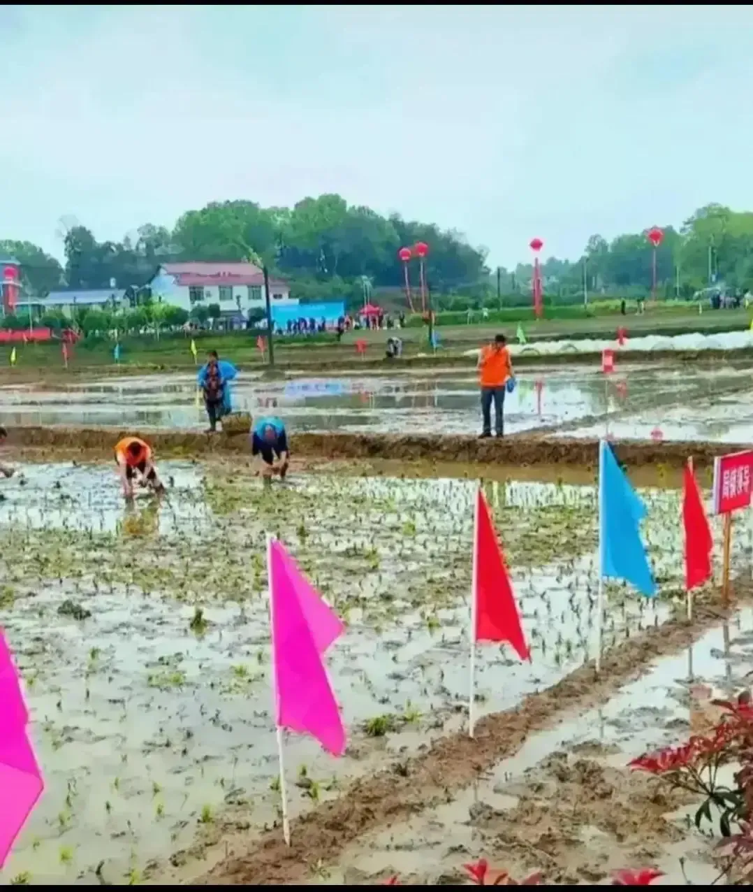 一个人三天没插到两张吃饭桌子宽1000 / 作者:猛龙 / 帖子ID:306465