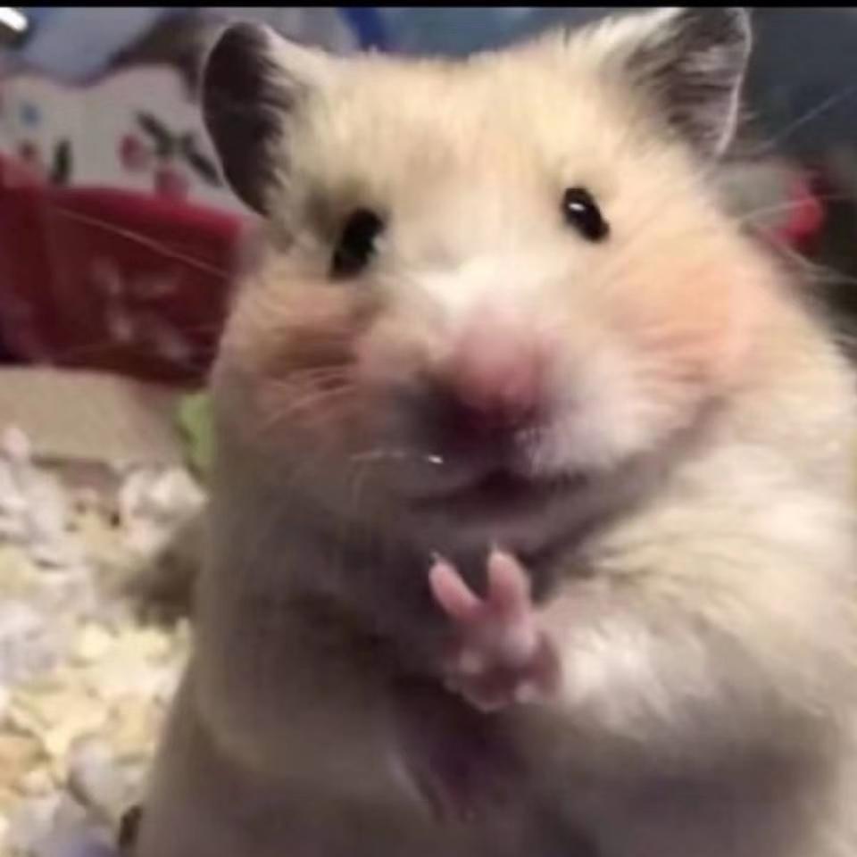 耶18 / 作者:猛龙 / 帖子ID:306604