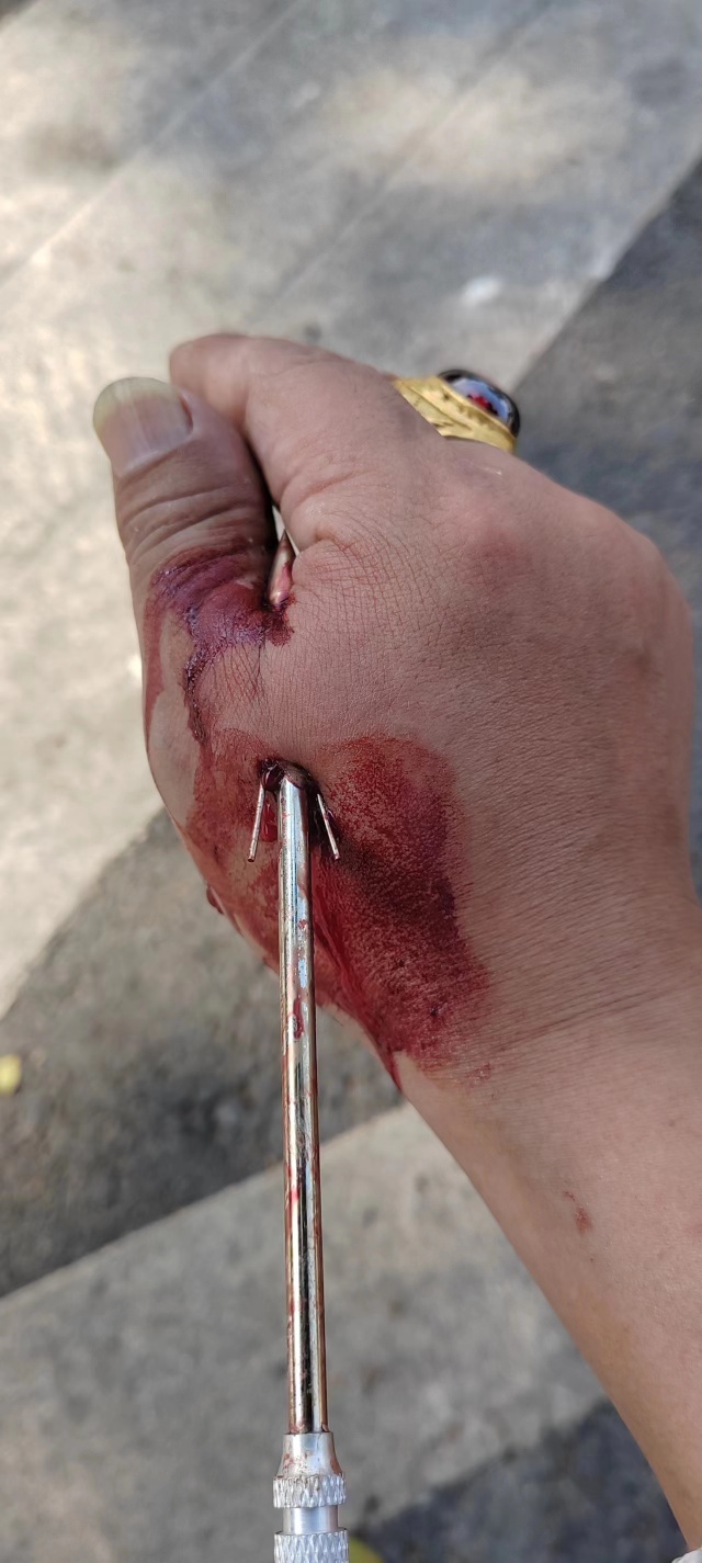 违规使用飞镖射鱼的后果36 / 作者:猛龙 / 帖子ID:306655