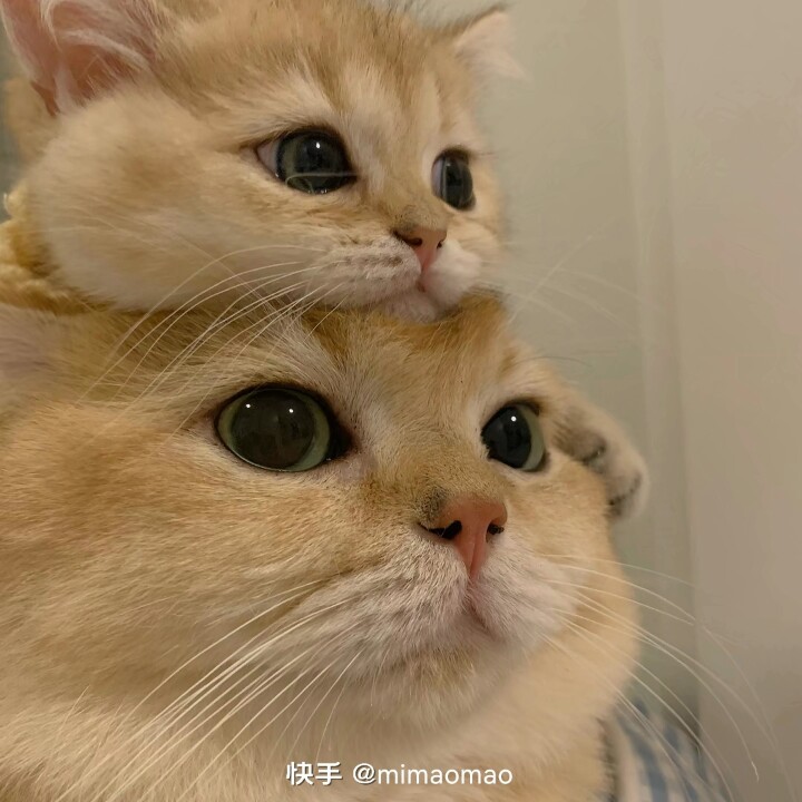 周末睡到十一点起床煮早饭吃吃饱了一觉6点半煮晚饭吃一天过得真快又讲告告了！晩安664 / 作者:猛龙 / 帖子ID:306708