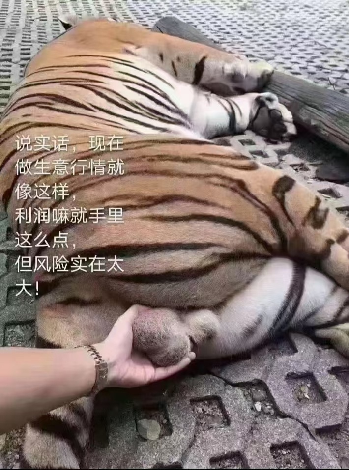 现在做生意的风险就是这样子502 / 作者:猛龙 / 帖子ID:306855