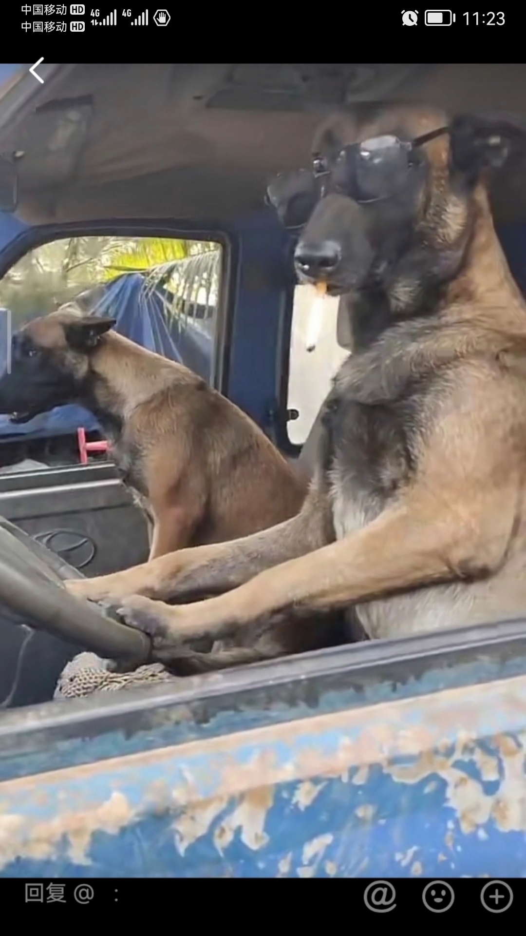 汪总！结下工程款了呗524 / 作者:猛龙 / 帖子ID:306955