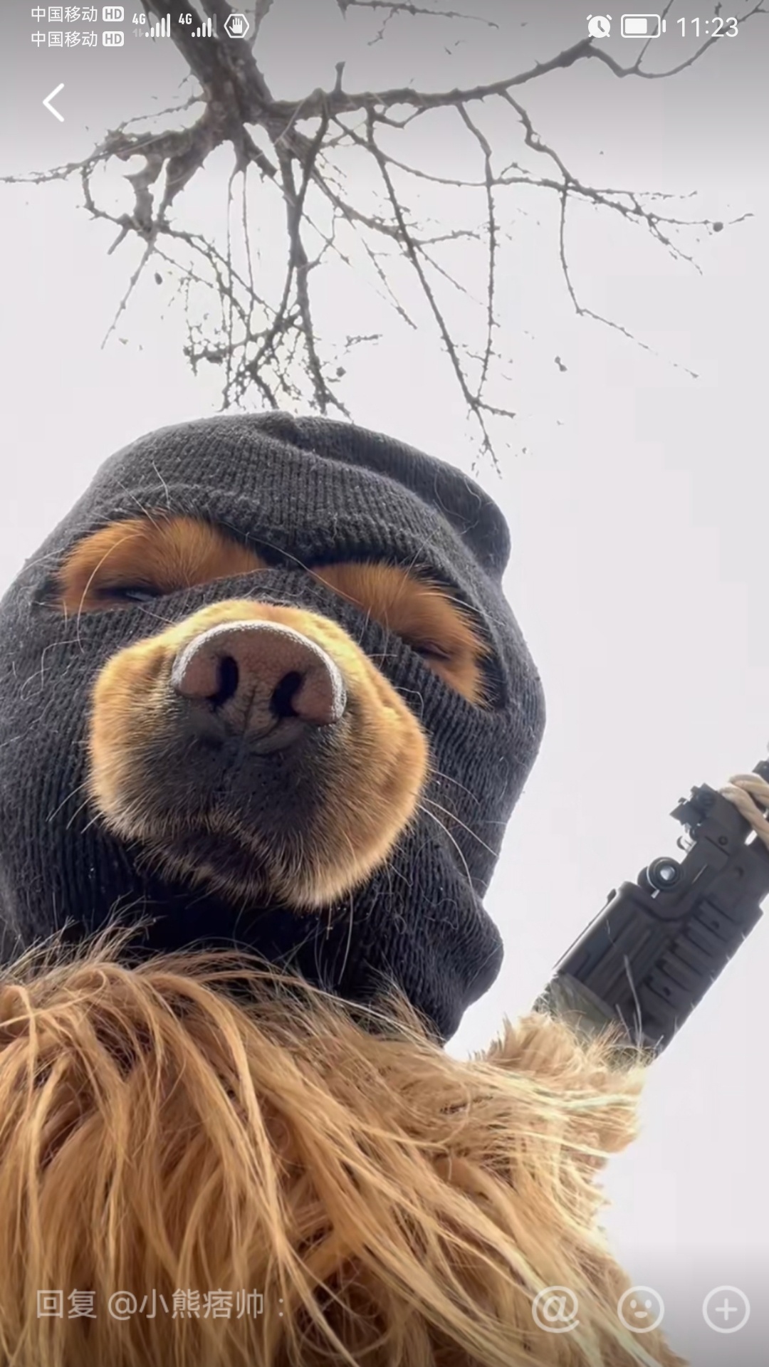 汪总！结下工程款了呗19 / 作者:猛龙 / 帖子ID:306955