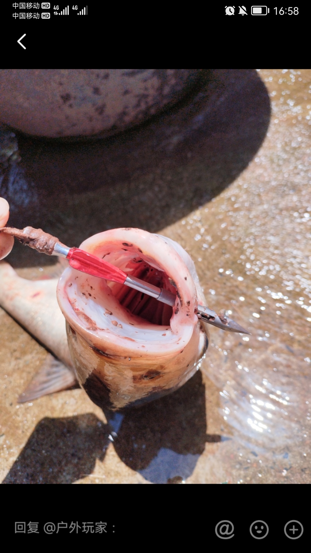 拿弹弓射鱼失手后的结果210 / 作者:猛龙 / 帖子ID:307704