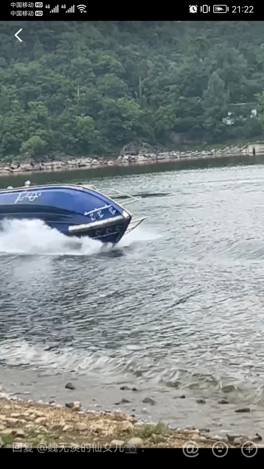 端午节安康！告告，晚安241 / 作者:猛龙 / 帖子ID:307892