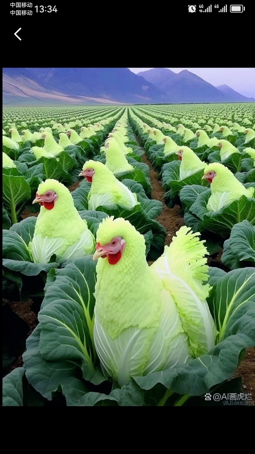 这图P的好看319 / 作者:猛龙 / 帖子ID:309510